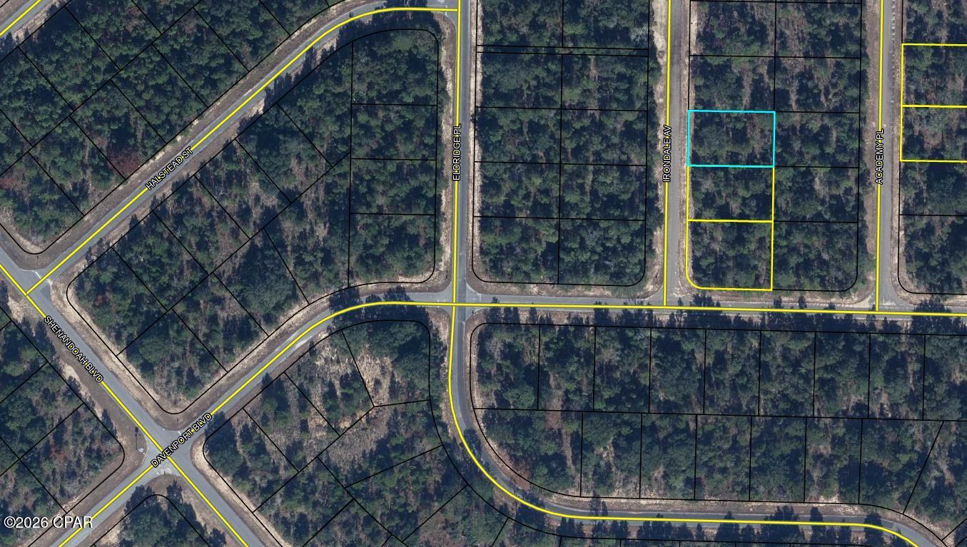 3 lot package in the growing community of Sunny Hills. Sunny Hills is a deed restricted (No manufactured Homes) community with a popular and affordable 18 hole public golf course. Located approximately 25 miles from Panama City and 18 miles south of Chipley and I-10. There are several national builders working in this community to accommodate the growth pushing north out of Panama City. If fishing is your thing, there are dozens of fine fishing lakes in the community. Great opportunity to invest in the future of the Florida Panhandle. Seller also has a total of 6 lots and would like to sell as a package.