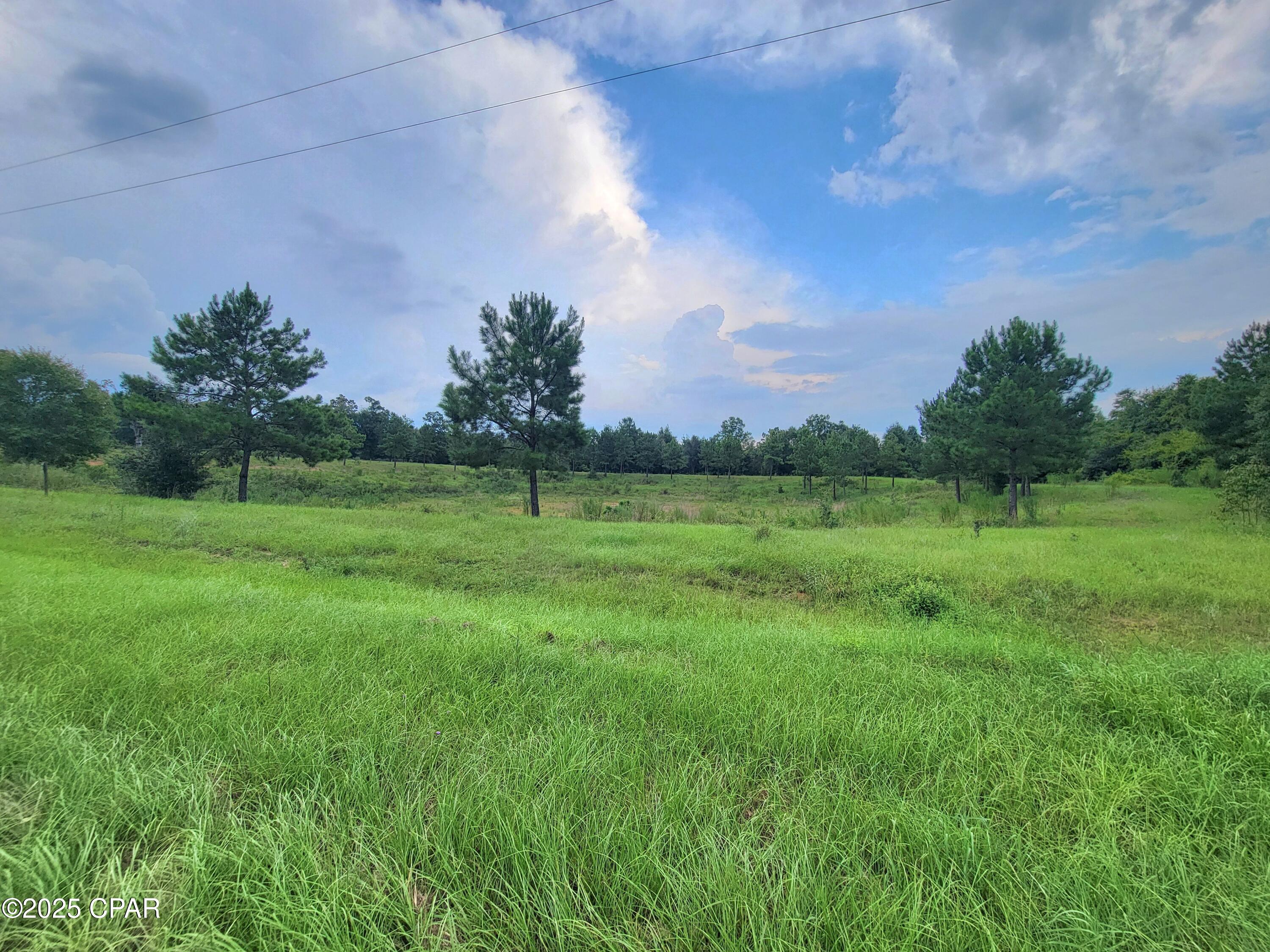 Enjoy peaceful country living on this 10-acre property featuring a private pond, partially wooded areas, and open space ready for your vision. Located on a paved road, the property is already equipped with a well and power. Light deed restrictions help maintain the beauty and value of the area, with no mobile homes allowed. A current survey is available, making this property ready for your dream home, farm, or weekend retreat.