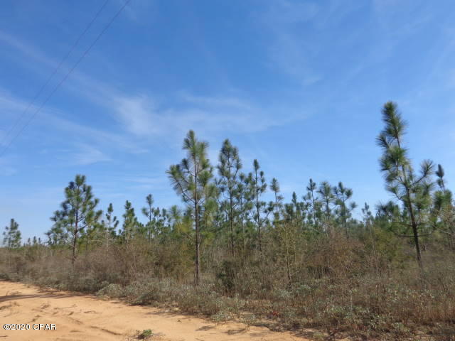 38.82 Acres MOL located on the Southwest Side past Caddo Ave to be surveyed out of parent parcel @$2,100 per acre.   Survey to determine exact acreage.  Investment property, hunting, recreational or use as residential or multi-residential.  Planted in longleaf pines. Close drive to Lakepoint Rd and Hwy 231. Minutes to public boat ramp at Compass Lake for boating, skiing and fishing. 45 minute drive MOL to Panama City to Beaches.