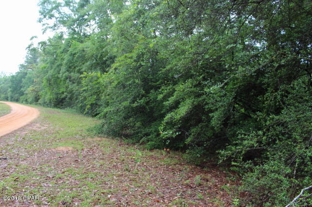 Compass Lake In The Hills - Land