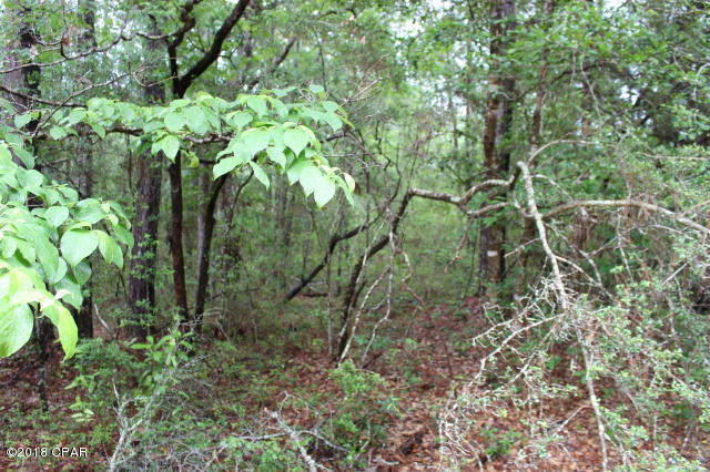 Compass Lake In The Hills - Land