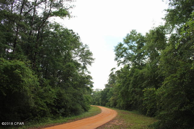 Compass Lake In The Hills - Land