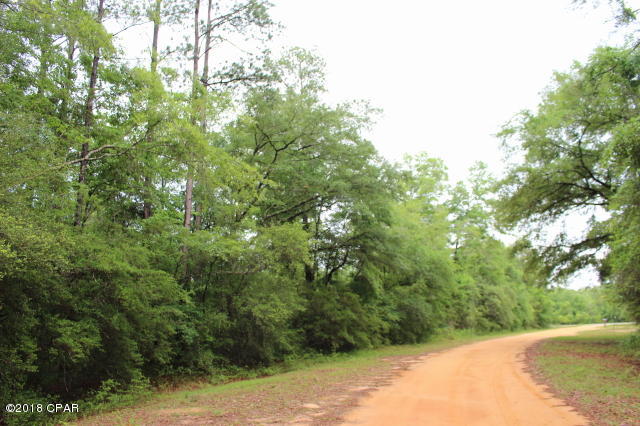 Compass Lake In The Hills - Land