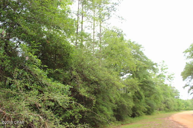 Compass Lake In The Hills - Land