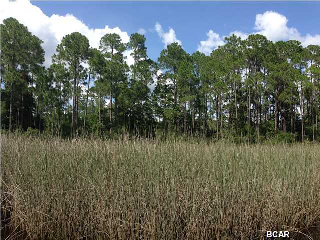 Laird Bayou - Land