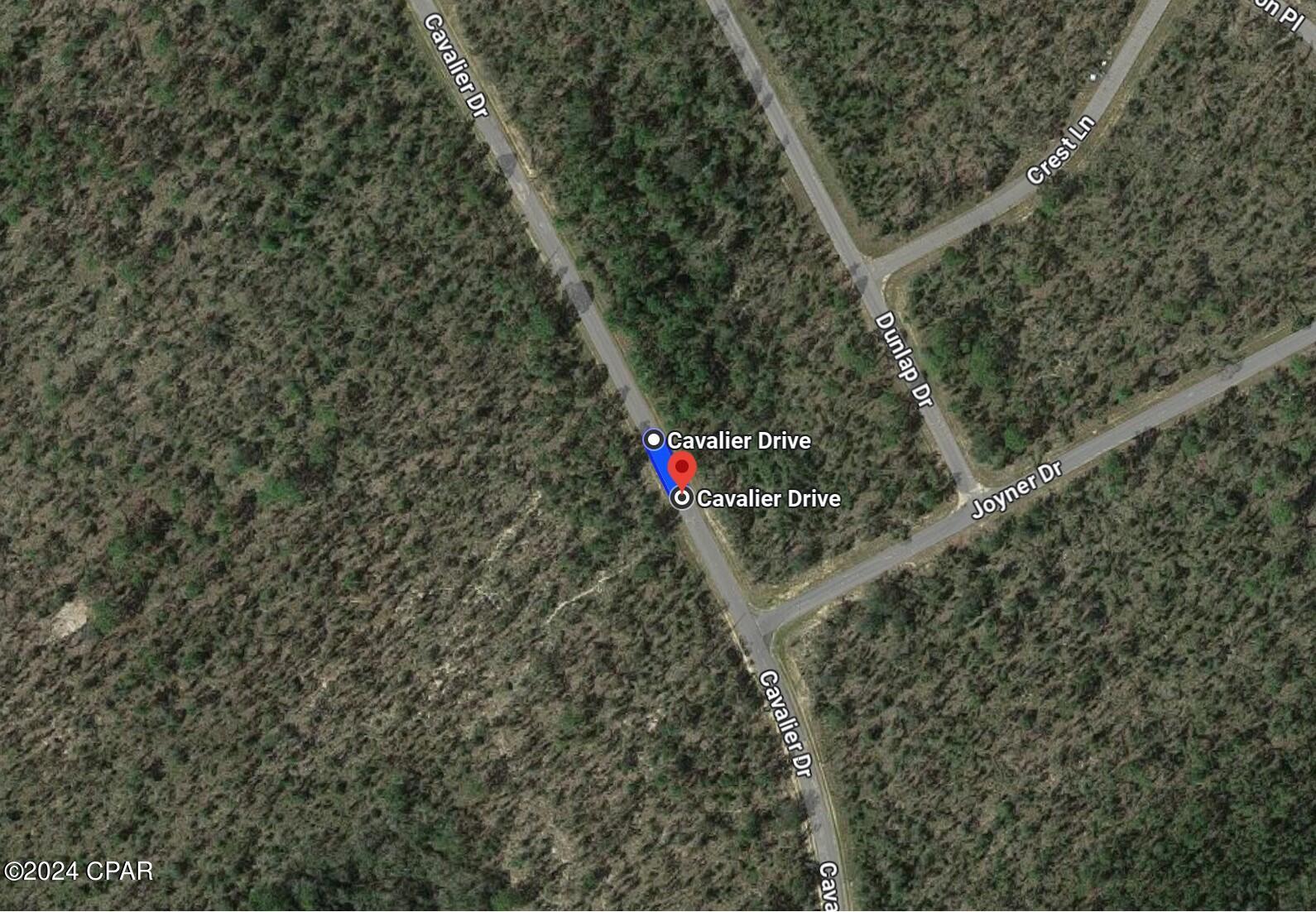 Seller has 2 adjoining lots to sell...with power lines already on Cavalier Drive. This is lot 19 and it is .544 acres. Lot 18 is adjoining and is also .544 acres. The 2 lots total 1.088 acres together. EACH lot is priced at $12,000. Seller prefers to sell them together. Nice building lots for single-family homes in the quickly growing subdivision of Sunny Hills!! ...what are you waiting for...Sunny Hills boasts the magnificent Sunny Hills Golf and Country Club!! No time frame to build in...homes only subdivision, no mobile homes...no HOA!! Come build your dream home now!! Don't miss out, call today!!!