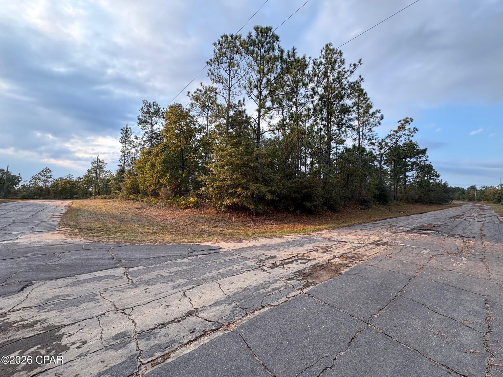 Excellent opportunity to own a .268 acre corner lot in Unit 6 of Sunny Hills, located at Lot 29 on Cavalier Drive. This homesite is situated in a more private section of the community with some established homes nearby, along with plenty of undeveloped parcels all through the neighborhood. The lot offers a straightforward building footprint with level elevations, helping simplify site prep and construction planning. According to US Water Corp. water connection is available for this lot (BUYER TO VERIFY) and power is present at the street! Whether you're a builder, investor, or future homeowner, this parcel presents an excellent opportunity for a beautiful and peaceful building site in Sunny Hills. Even better, it adjoins the lot next door at LOT 6 Hernando Circle that is also available from the same seller at the same price, providing a rare opportunity to secure side by side lots for added space, flexibility, or future development options. Sunny Hills continues to attract buyers due to its convenient access to Highway 77, with Chipley to the north and Panama City and the Gulf Coast beaches to the south. If you're looking for a competitively priced investment in a booming Northwest Florida community, this lot deserves your attention.