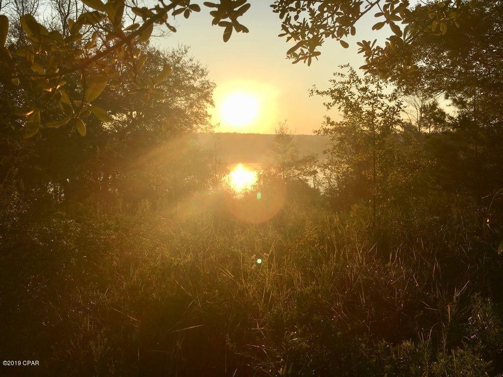 Bream Pond - Land