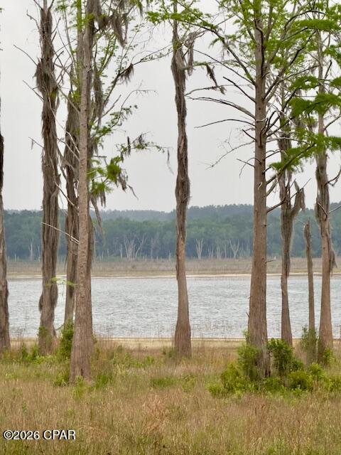 Located in the scenic southern part of Washington County, this beautiful lot is already cleared and surveyed, making it ready for your vision to come to life. The property includes underground electric and a well, and the seller will add a well pump with an acceptable offer prior to closing. Buyer will need to install a service pole.

This area is a hidden gem for outdoor lovers--surrounded by the pristine, spring-fed waters of Hicks, Lucas, and Stewart Lakes, all known for exceptional fishing. Spend your days kayaking, boating, or simply soaking in the peaceful waterfront views right from your own property.

Plus, you're just a short drive from the ''World's Most Beautiful Beaches'', giving you the best of both quiet lake life and coastal adventures.