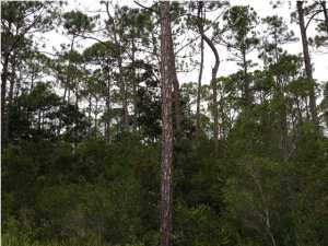 East Bay Plantation - Land