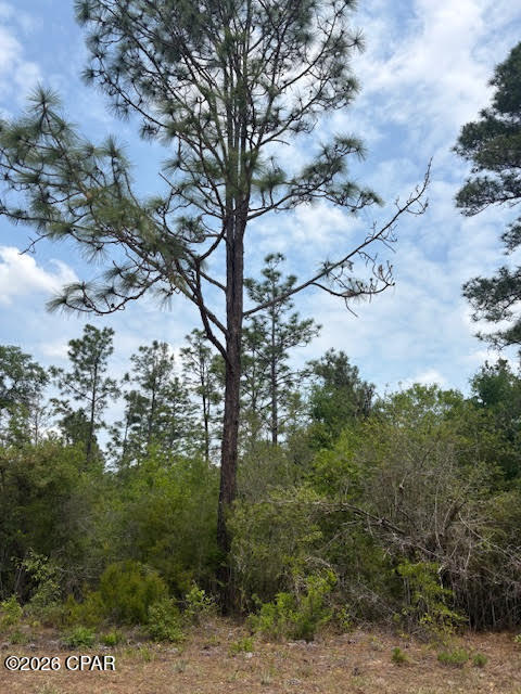 1 acre MOL wooded lot ready for your vision! Located in Compass Lake in the Hills, this property allows for custom-built homes or mobile homes, offering flexibility for your future plans.  Seller said this property high & dry and located in Flood Zone X.  The POA is optional; however, joining provides access to community amenities. Conveniently situated just a short drive to Hwy 231, providing easy access south to Panama City and the beautiful beaches, or north to I-10. Enjoy nearby outdoor recreation with the Compass Lake boat ramp just minutes away for great fishing and boating opportunities.