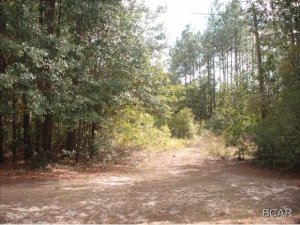 Nice high and dry lot in Bayou George. Lot has cleared area for home. There is a power pole and septic in place and property is ready for site built home or mobile home. Property is only 15 minutes to mall.