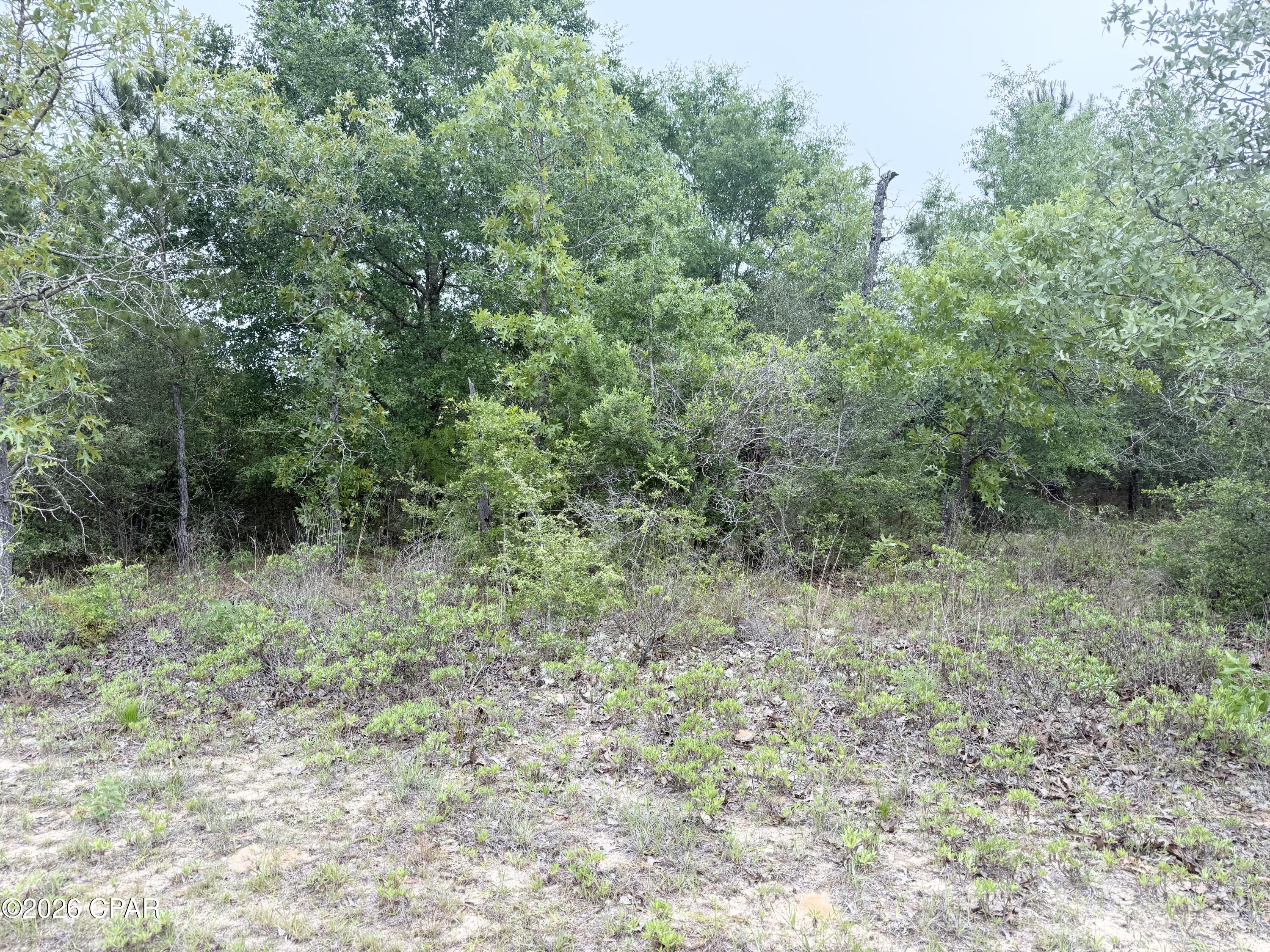 Located in the growing community of Sunny Hills, this wooded vacant lot offers a great opportunity to build in an area known for its peaceful surroundings and steady growth. Tucked along Sumatra Drive, the property provides a natural setting with plenty of privacy while still being conveniently located near paved roads and established homes. Whether you're planning a primary residence, weekend getaway, or investment property, this lot offers flexibility in a desirable Northwest Florida location. Sunny Hills features an 18-hole public golf course, Boat Lake with a sandy beach and swimming area, and easy access to outdoor recreation. Conveniently located approximately 35 miles from Panama City Beach, you can enjoy the quiet lifestyle of Sunny Hills while still being within reach of the World's Most Beautiful Beaches, shopping, dining, and entertainment. Don't miss your opportunity to secure property in this up-and-coming community.
