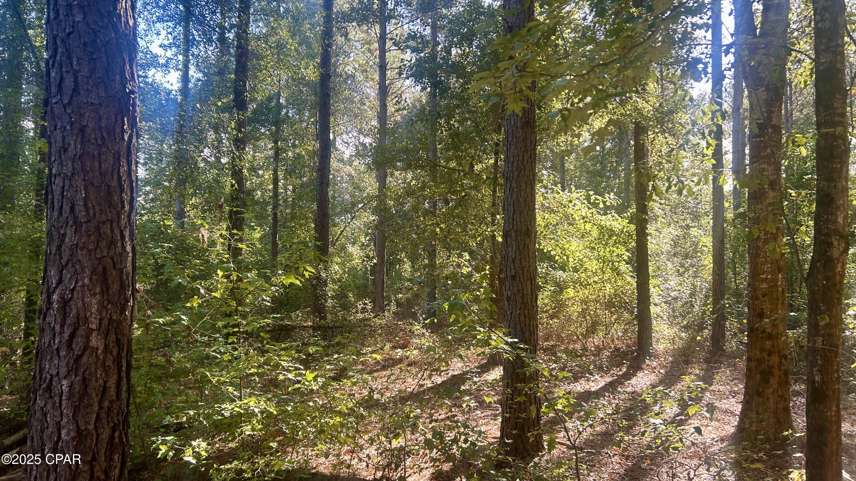 Other - Land