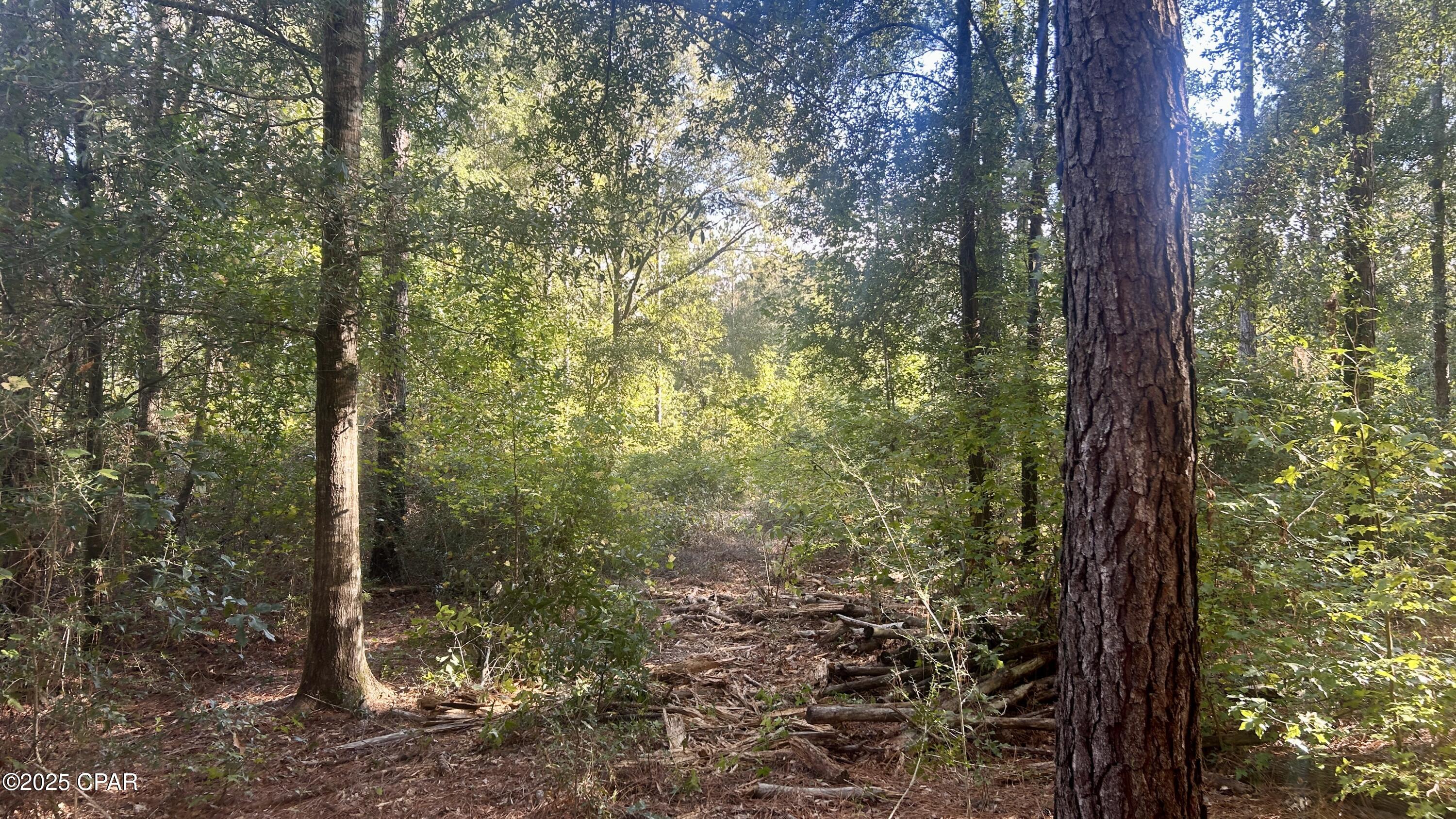 Other - Land