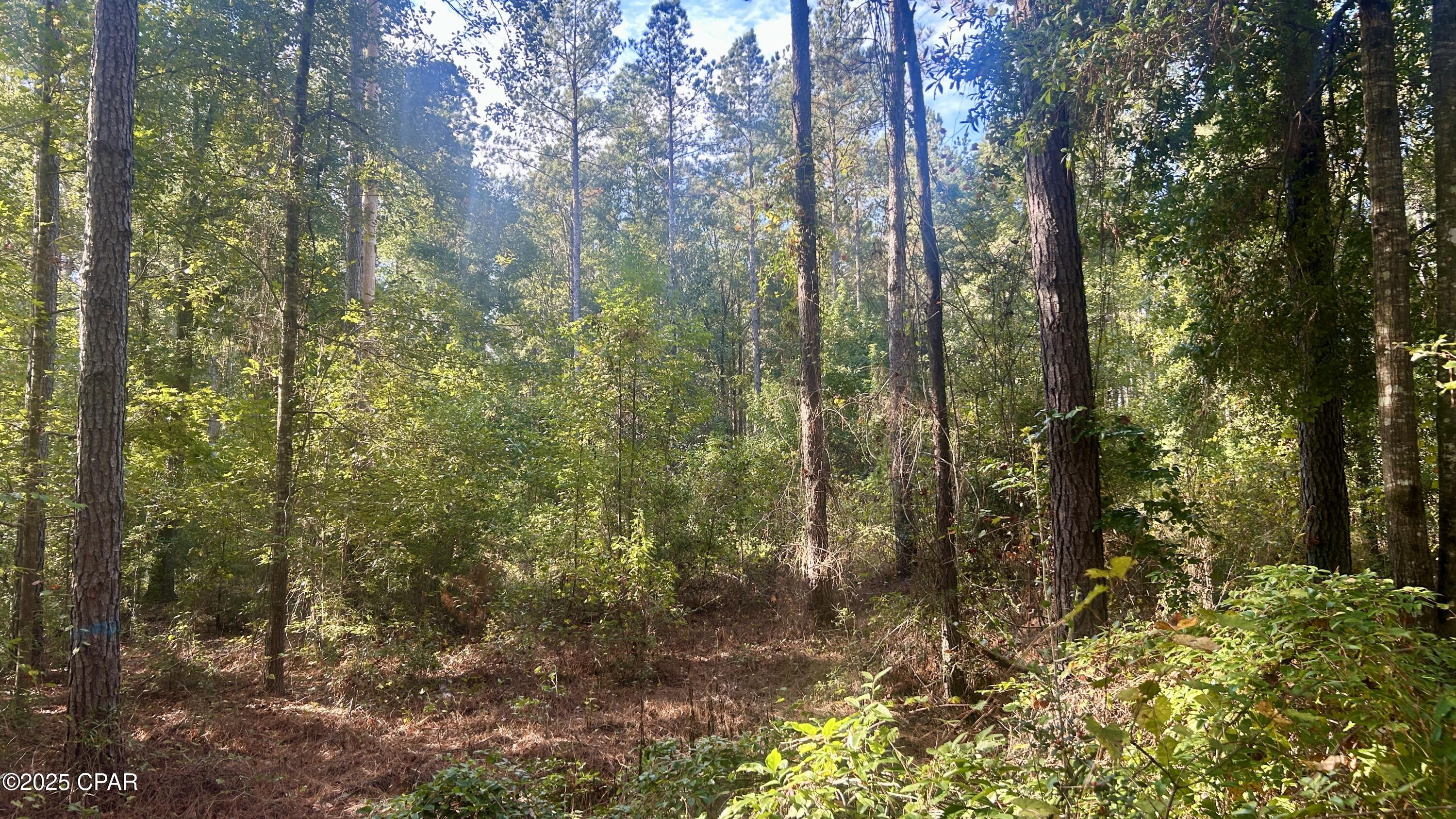Other - Land