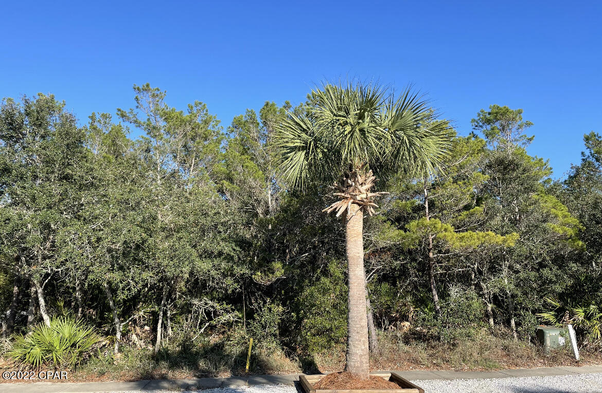 Carillon Beach - Land