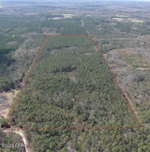 Outdoor Lover's Paradise - 60 Acres of Prime Hunting & Recreation Land
Indulge in the hunting lifestyle and recreational bliss with this expansive 60-acre sanctuary located along JW Miller Road and down the scenic stretch of Dead Horse Rd. Embrace the thrill of the hunt amidst dense foliage and sprawling woods, where deer, turkey, and other game abound.
For outdoor enthusiasts, the possibilities are endless—enjoy hiking, ATV riding, birdwatching, or camping under the stars in complete privacy. With ample space to roam, explore, and unwind, this property truly is a nature lover's paradise.
Whether you're seeking a weekend getaway, a secluded campsite, or a year-round retreat, this idyllic haven offers the perfect blend of tranquility and adventure. Create unforgettable memories and forge your own path across this enchanting landscape.
Buyer/Buyer's agent to verify all pertinent information regarding the property. Contact your agent today to schedule showings.
