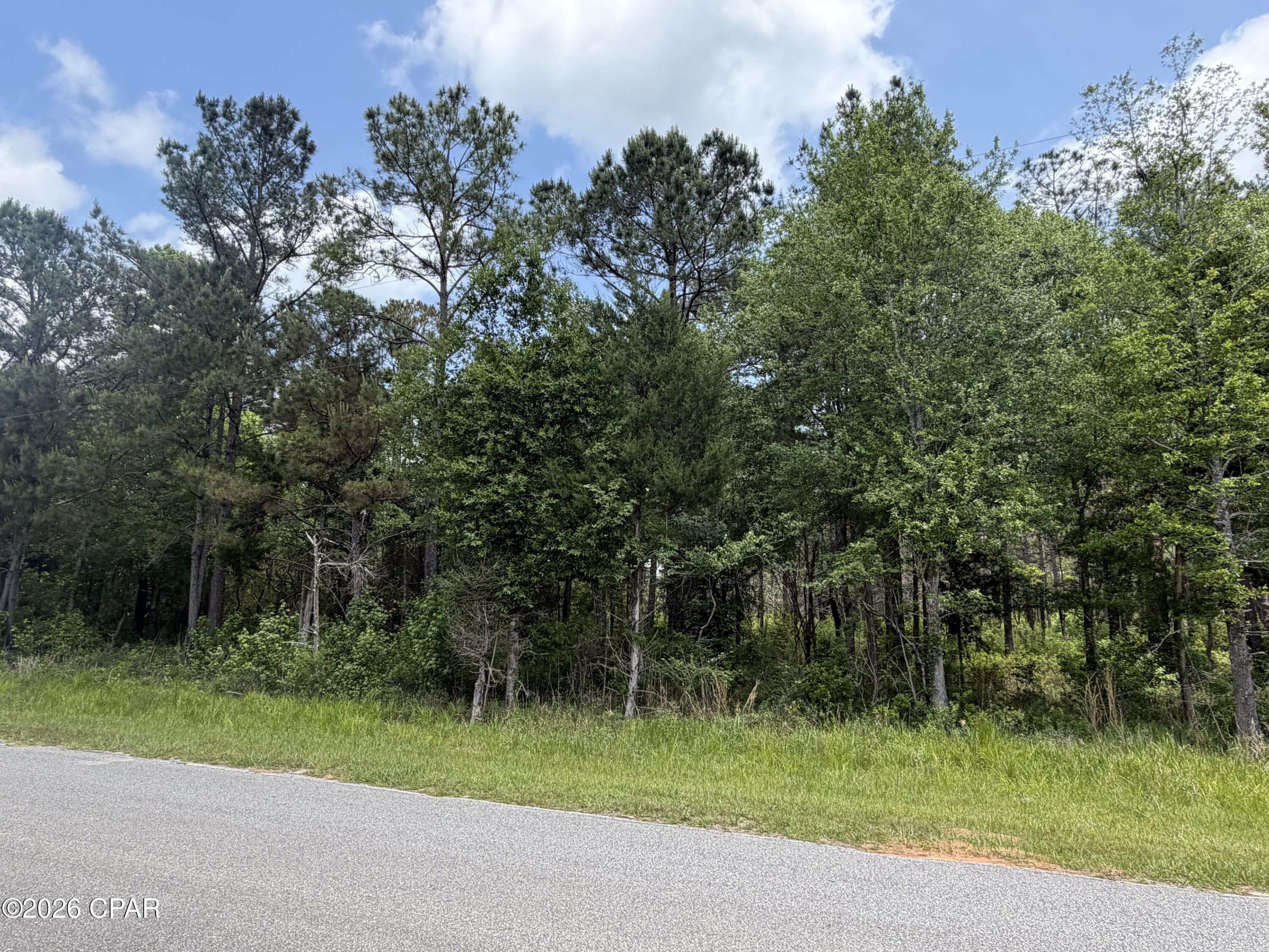 This beautiful wooded lot is the perfect canvas for your new home. Great location minutes from the amazing small town of Vernon. Enjoy the convenience of small town living while having Panama City Beaches at your finger tips.
The property is on a county maintained paved road. ALL MEASUREMENTS ARE APPROXIMATE AND ARE TO BE VERIFIED.