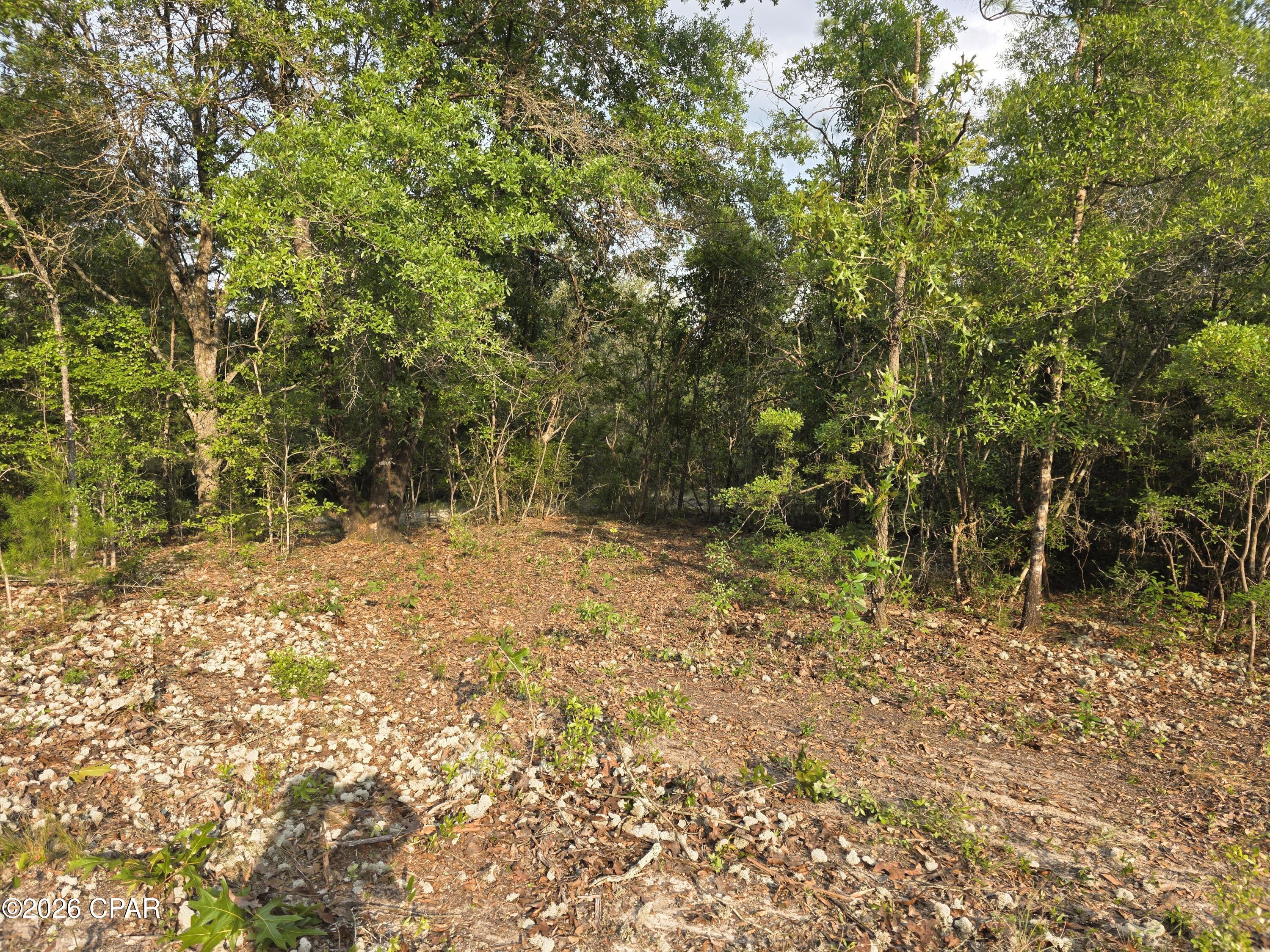 Here is your opportunity to own over an acre of unrestricted land in Southern Washington County, less than 45 minutes from the beach! Located on a paved road, Lot 7 in Crooked Lake Subdivision offers frontage on both Pine Log Road and Trailblazer Road, providing convenient access and added flexibility. Build your dream home, place a mobile home on the property, or create your own peaceful country retreat--the choice is yours. Outdoor enthusiasts will appreciate being close to numerous freshwater lakes and natural springs while still enjoying the privacy and slower pace of country living. The seller has a survey available. Buyer to pay for the title policy and title-related fees.