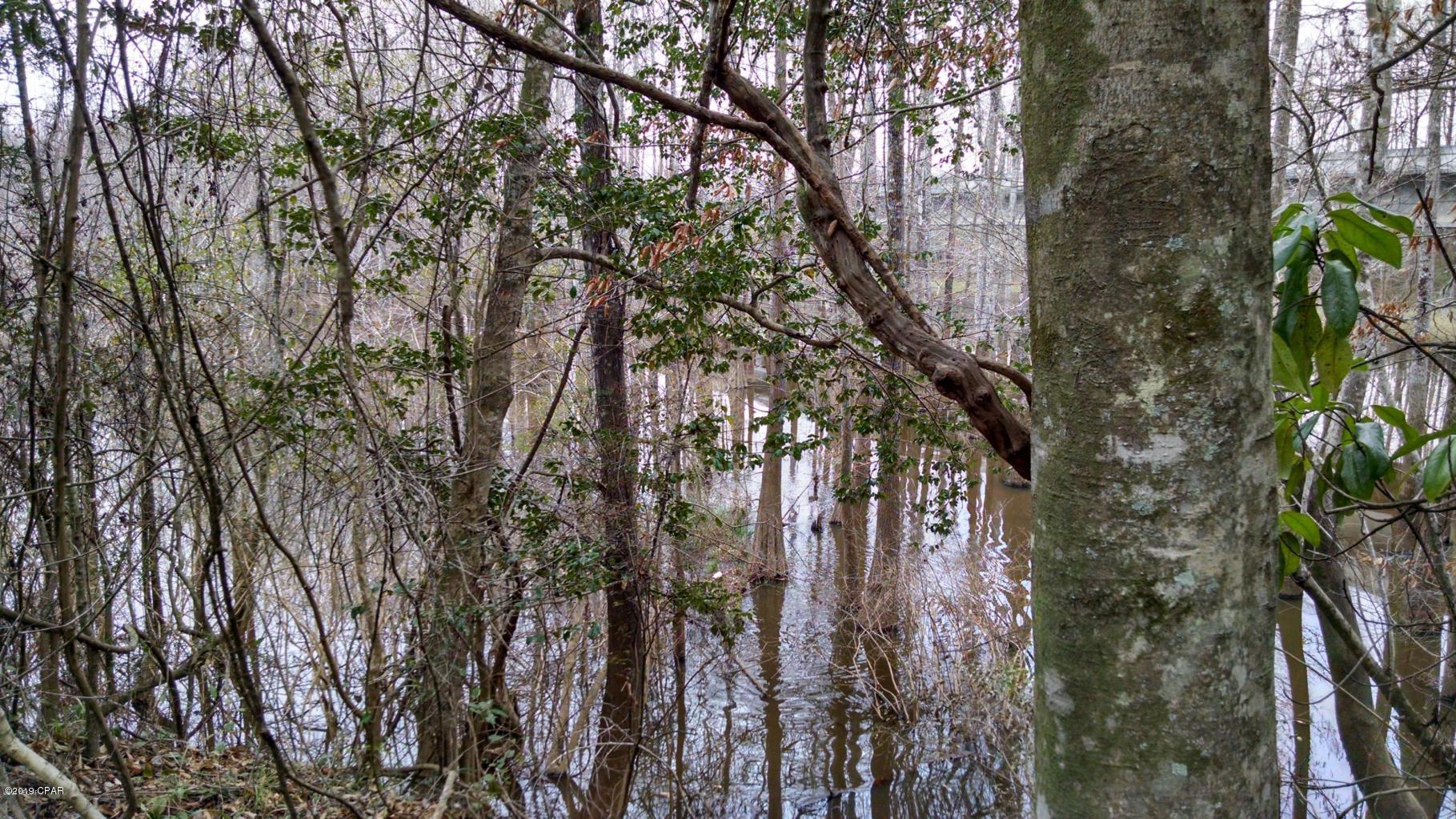Caryville Campsites - Land