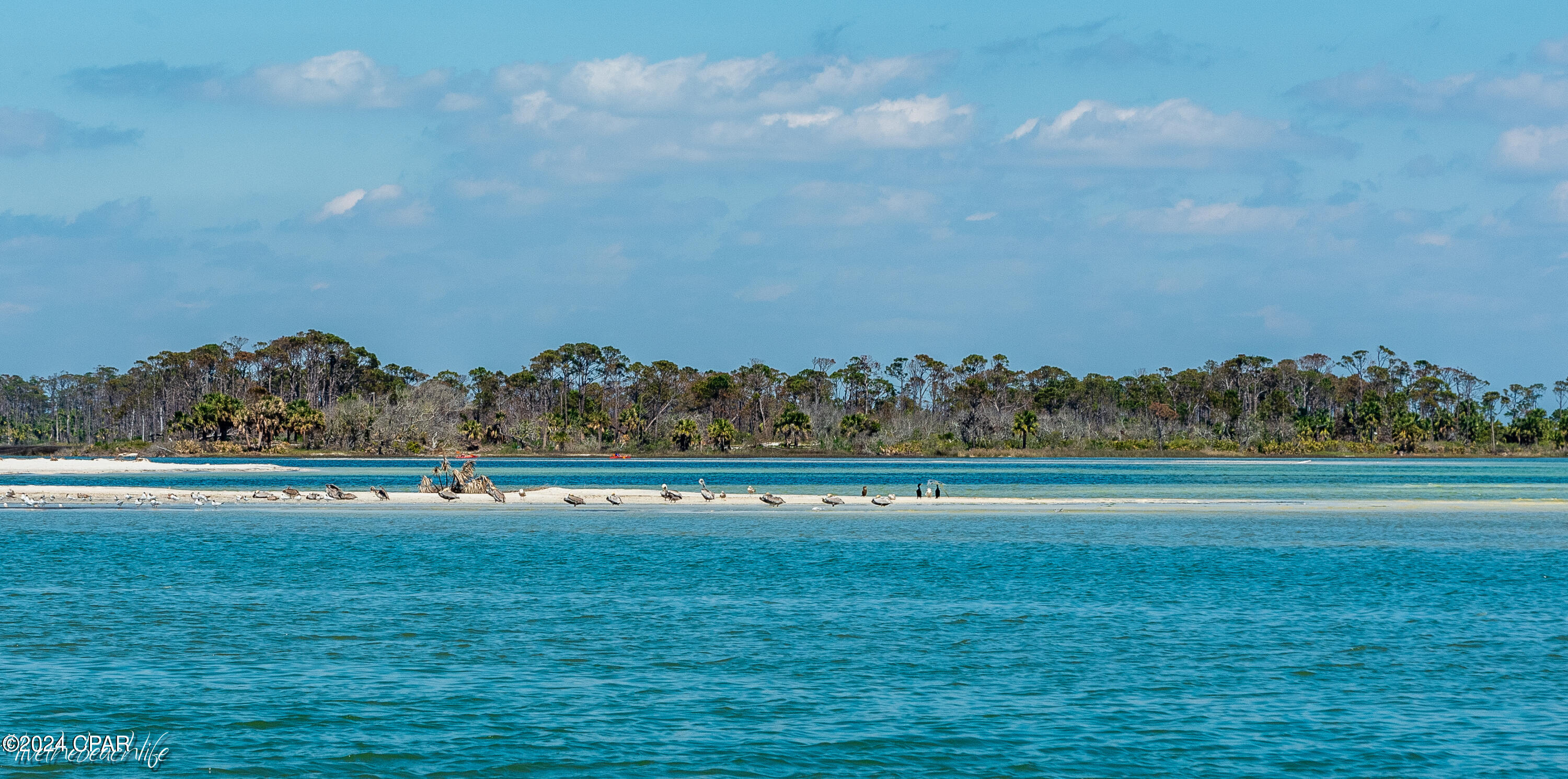 Seagrass - Residential