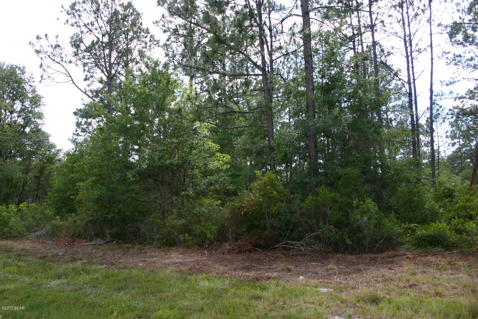 Shady Oaks - Land