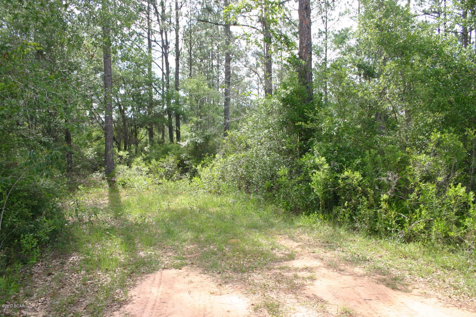 Shady Oaks - Land