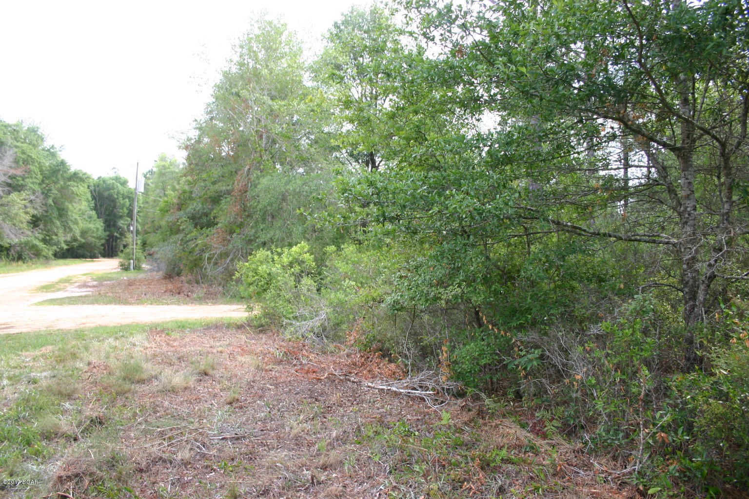 Shady Oaks - Land