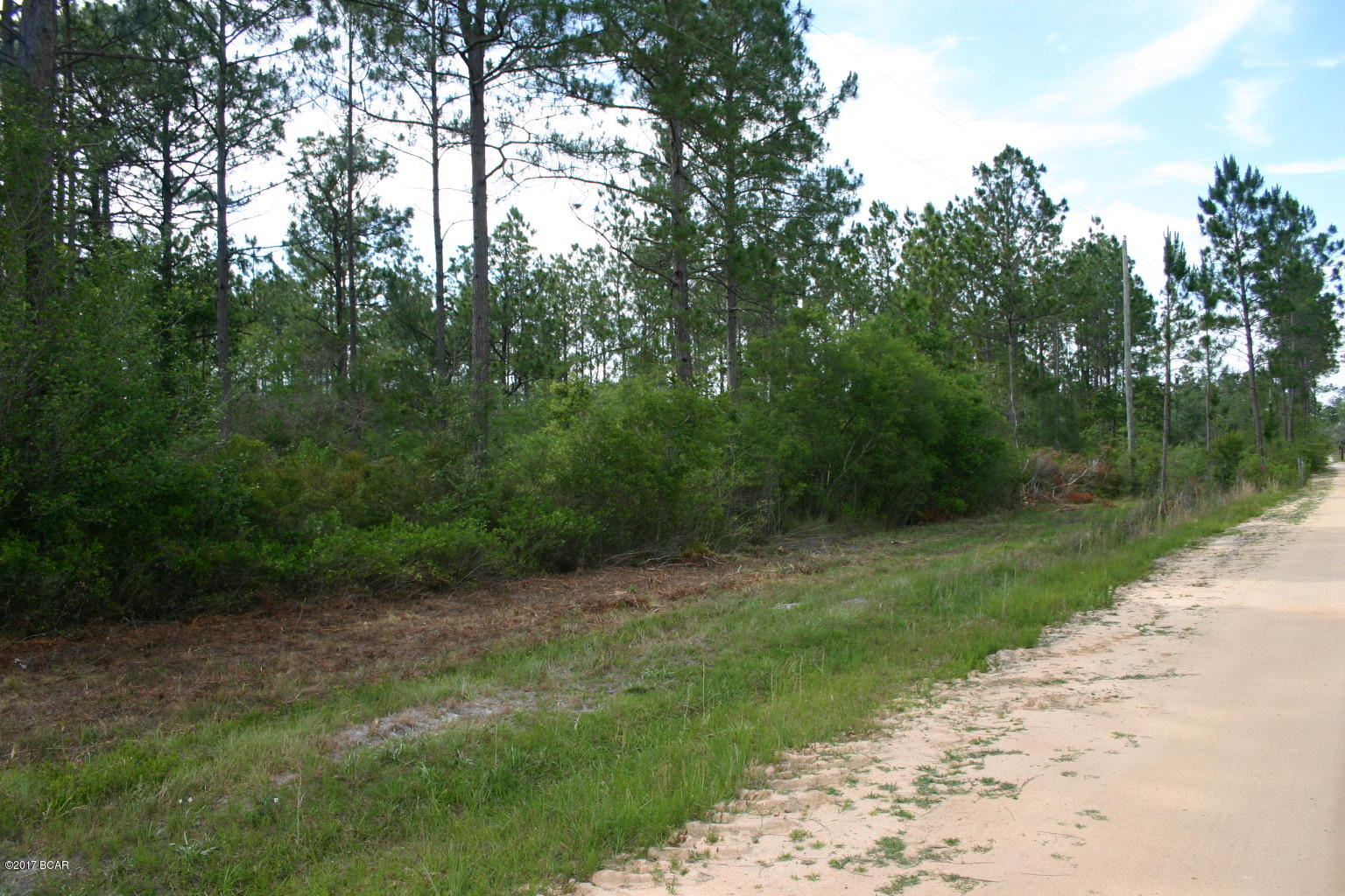 Shady Oaks - Land