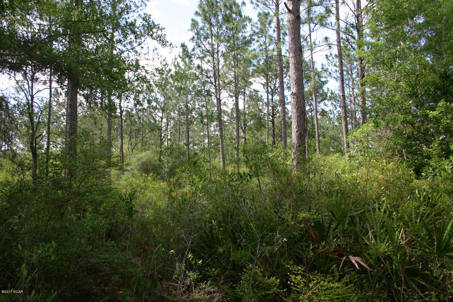 Shady Oaks - Land