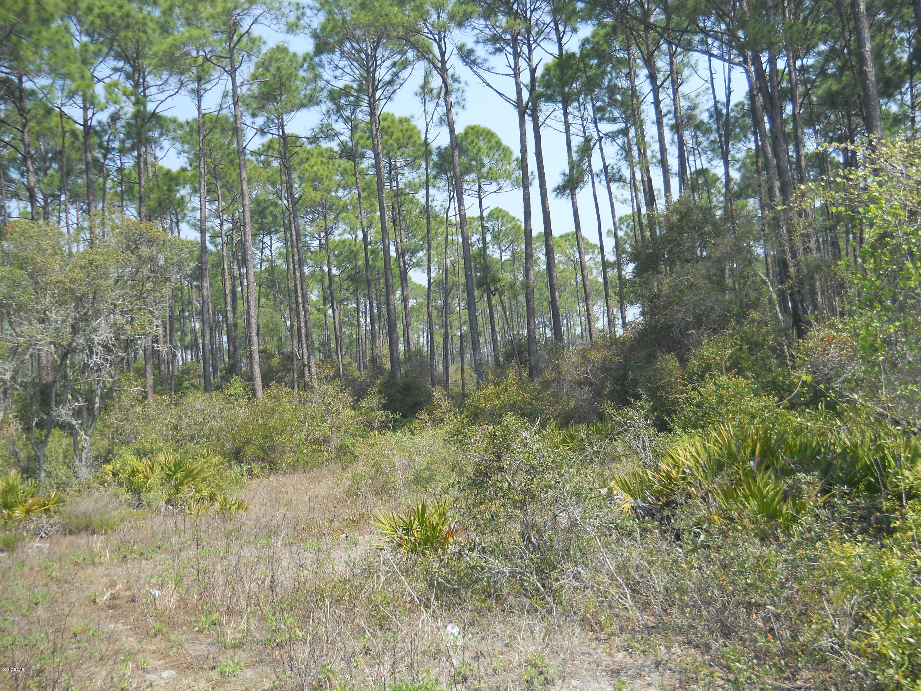 Great building lot in a quiet neighborhood close to pier park, blocks from the beach ,fishing ,shopping , enjoy the beach life style