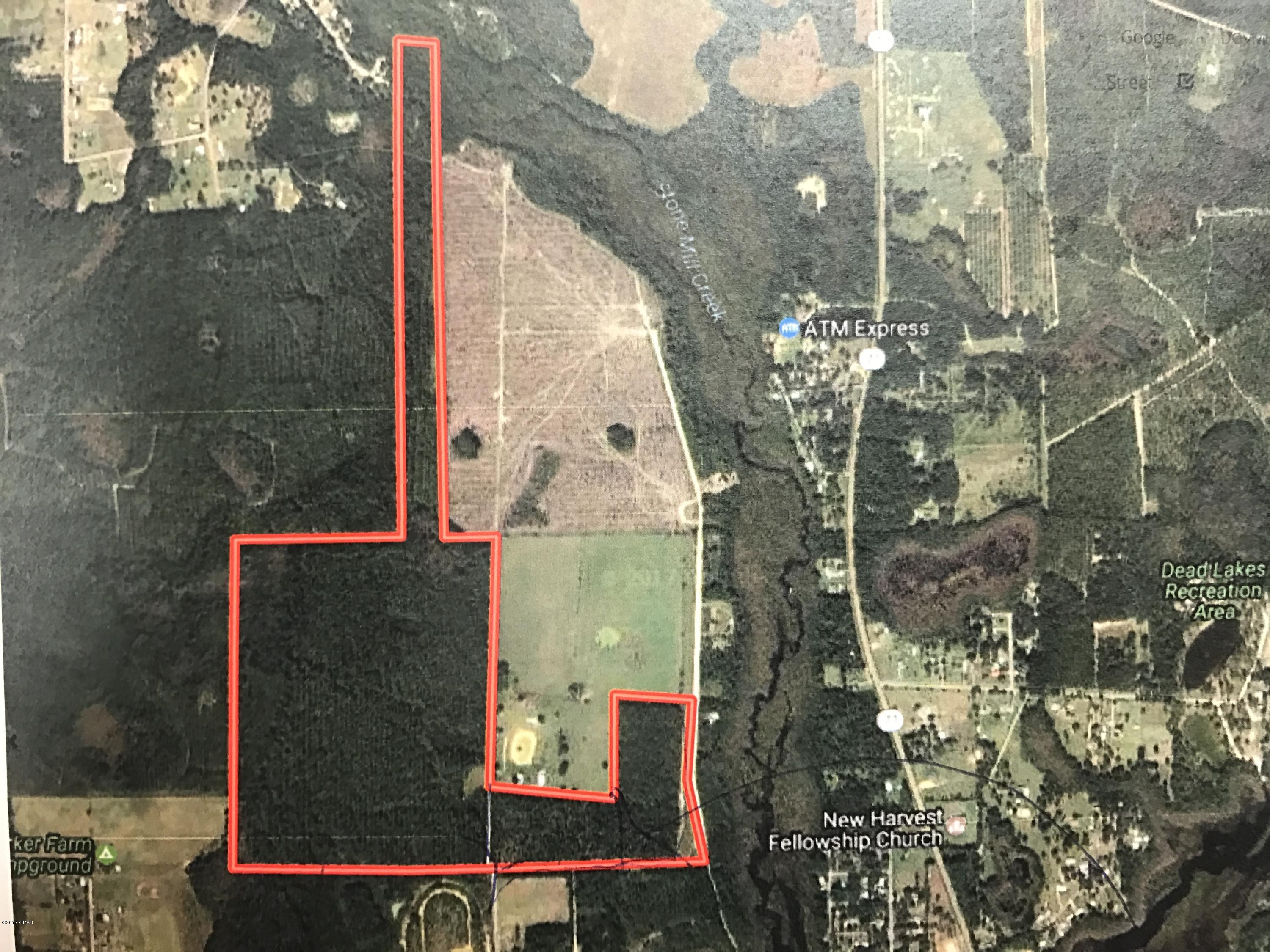 THE TIMBER IS NOT INCLUDED IN THIS PRICE! IF BUYER WANTS THE TIMBER IT IS $2500 PER ACRE.Great recreational tract with excellent fishing in Dead Lakes, chipola river, & Appalachicola river. Only 30 mins to Gulf of Mexico & beach.