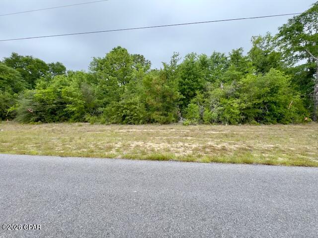 Nice lot located in the Sunny Hills subdivision, where new homes are being built. This larger parcel has already been surveyed and backs up to green space, offering added privacy and a peaceful setting. The lot is mostly wooded, providing flexibility for clearing while maintaining natural surroundings.

Sunny Hills offers multiple lakes for fishing, seasonal swimming at Boat Lake with a white sandy beach, and an 18-hole golf course. Conveniently located near Hwy 77, allowing easy travel to Panama City to the south and Chipley to the north. Approximately 45 minutes to Panama City Beaches.

Community water and electric appear to be available; buyer to verify. Buyers are responsible for owner's title policy and title company closing fee.