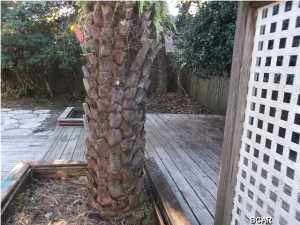 Point Royal Homes Unit 2 - Residential Lease