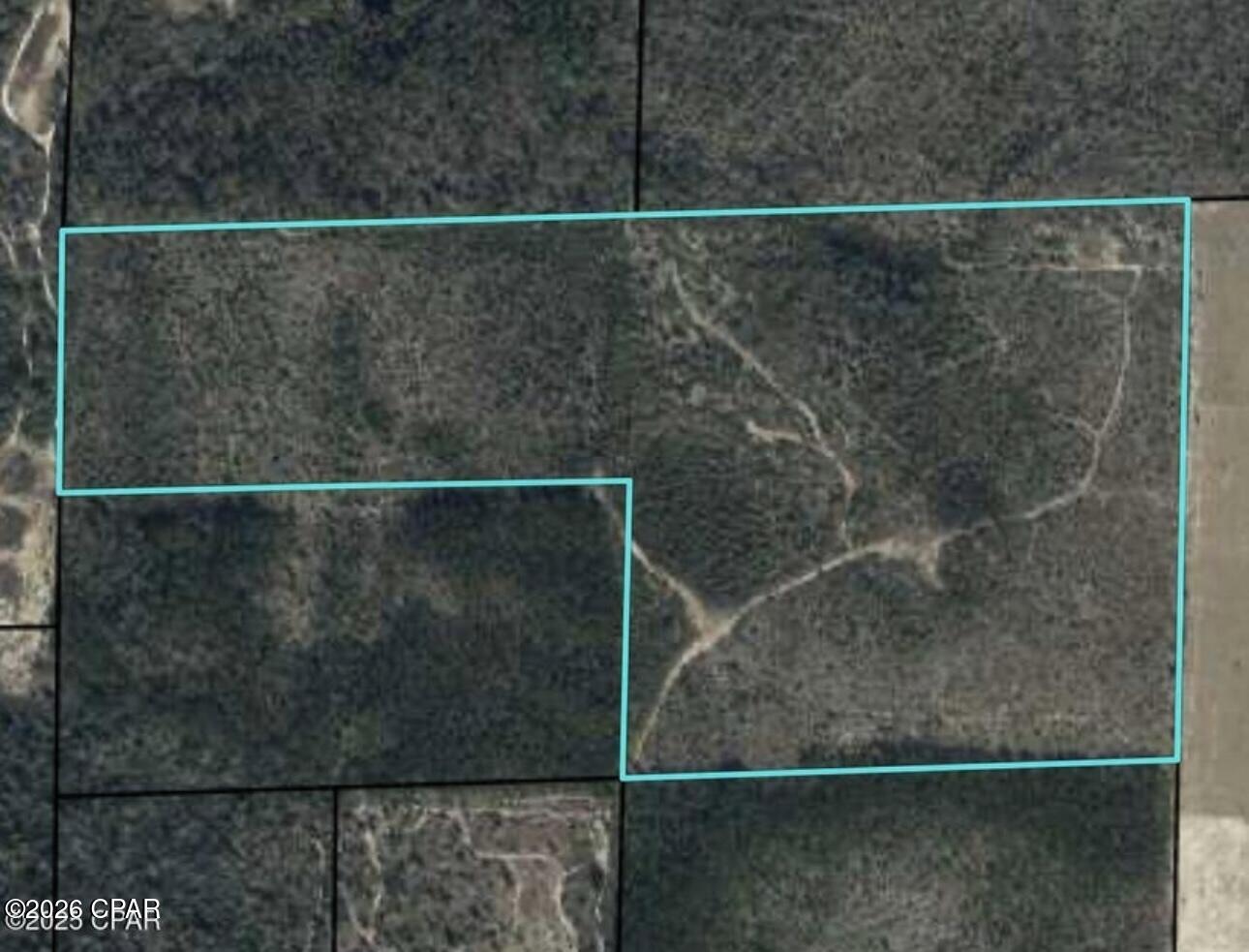 For sale: 60 acres of dedicated timberland located in Marianna, Jackson County. This non-homesteaded property offers a prime opportunity for forest management and long-term investment. Property has no legal access.