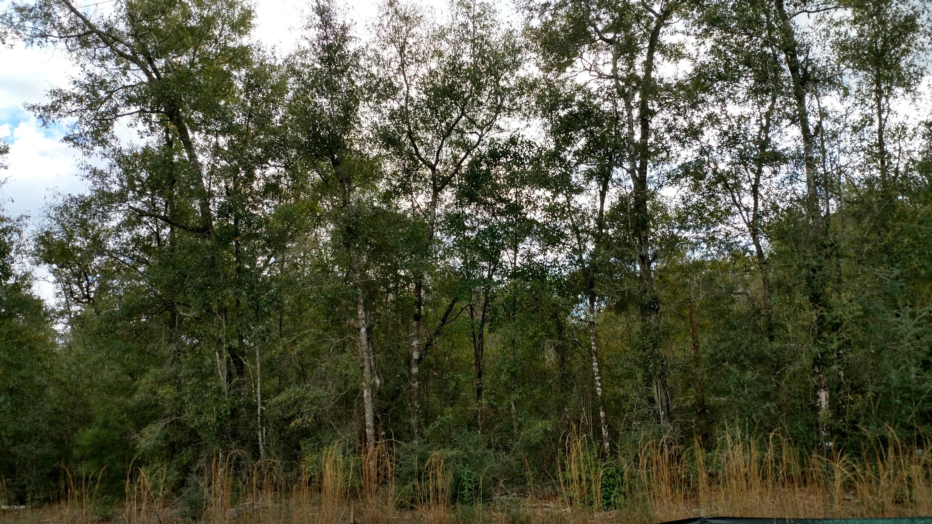 10.34 Acres -- Build the Home of Your Dreams in the Country....