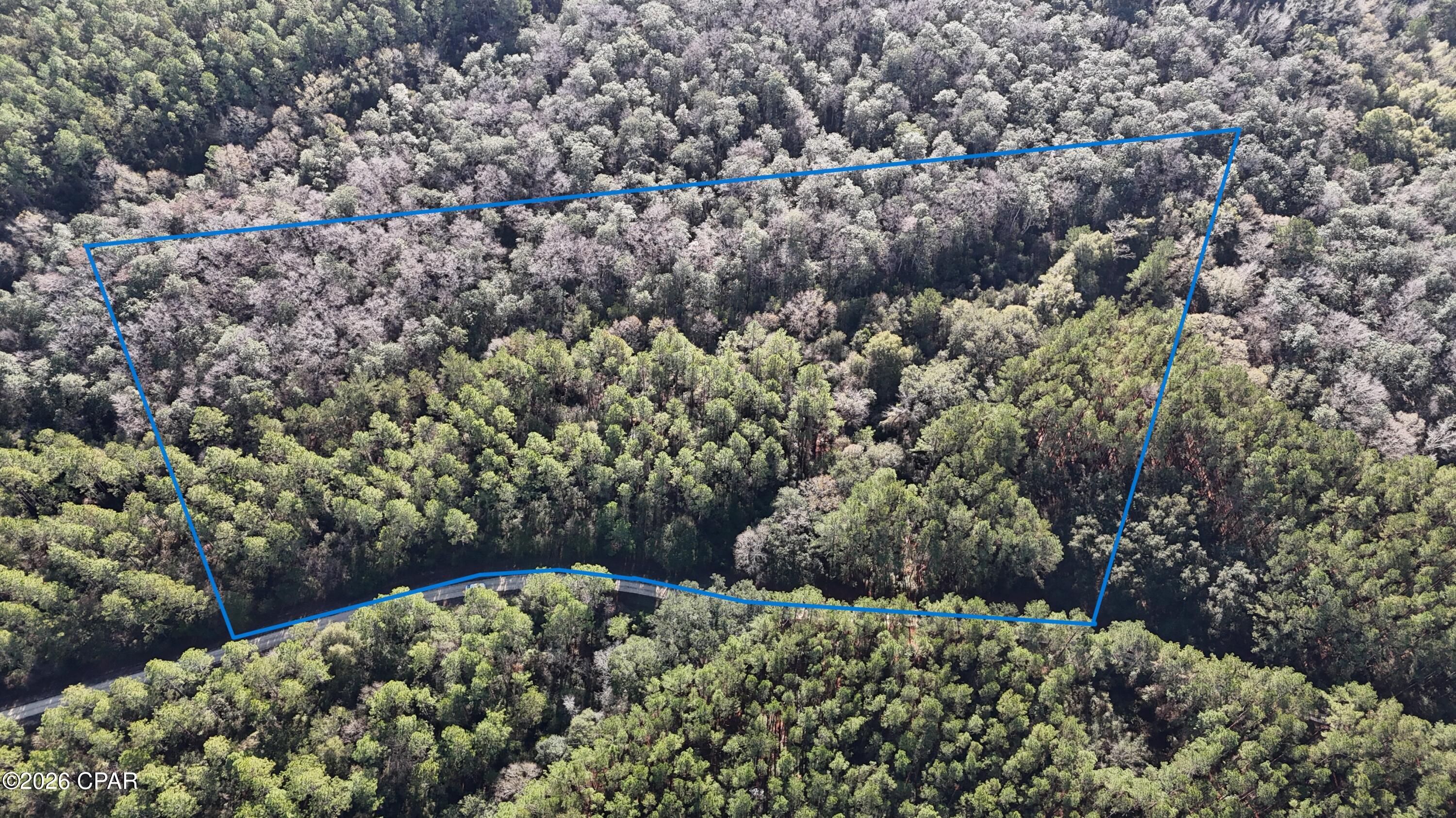 Reedy Creek - Land
