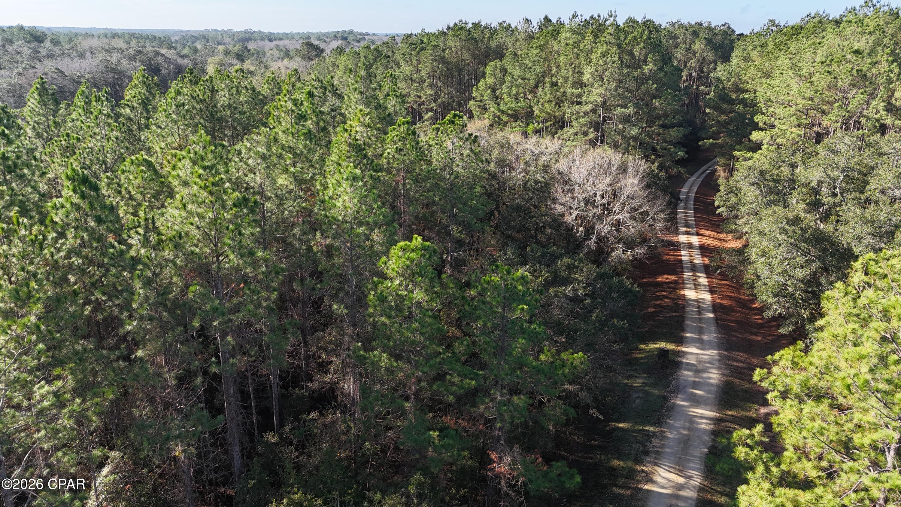 Reedy Creek - Land