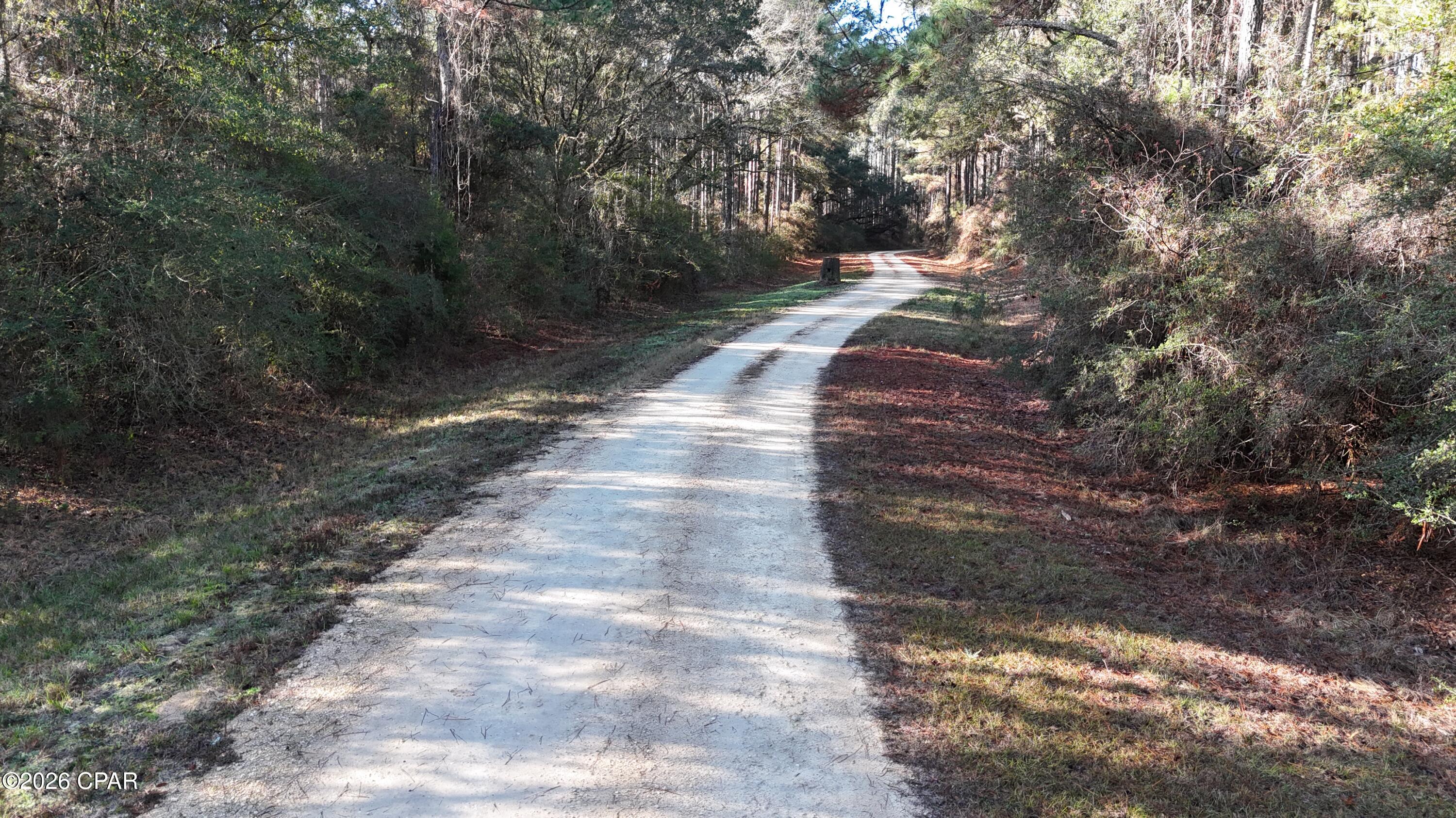 This beautiful 8.58-acre wooded lot in the peaceful, gated Reedy Creek subdivision offers the perfect blend of privacy and natural serenity. Tucked away on a quiet gravel road with underground power already available, it's an ideal canvas for building your dream home. Best of all, you're just over an hour from the sugar-white sands and emerald waters of Panama City Beach - home to the world's most beautiful beaches. A rare opportunity to own your own slice of tranquil Florida paradise!