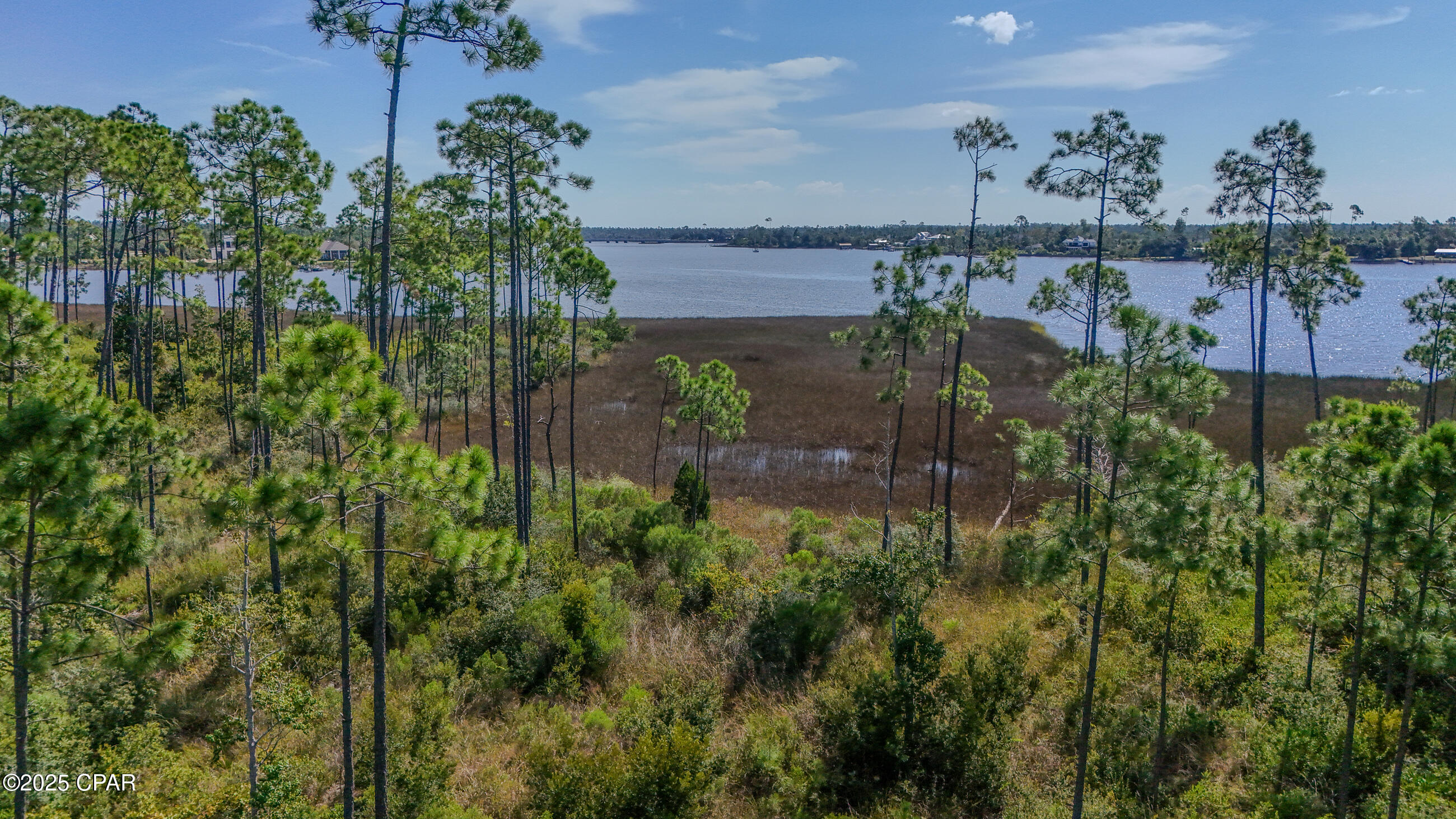 Laird Bayou - Land
