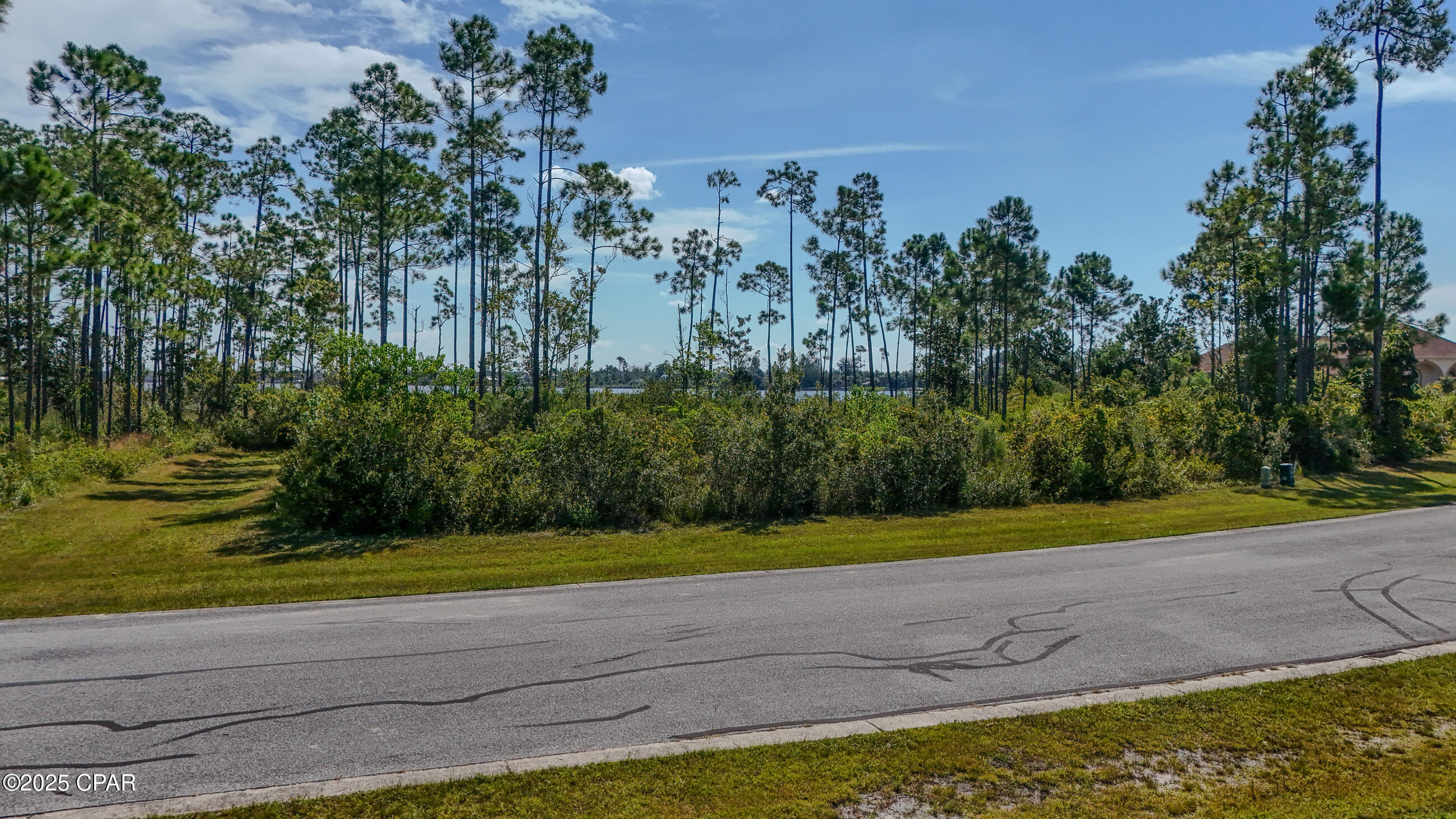 Laird Bayou - Land