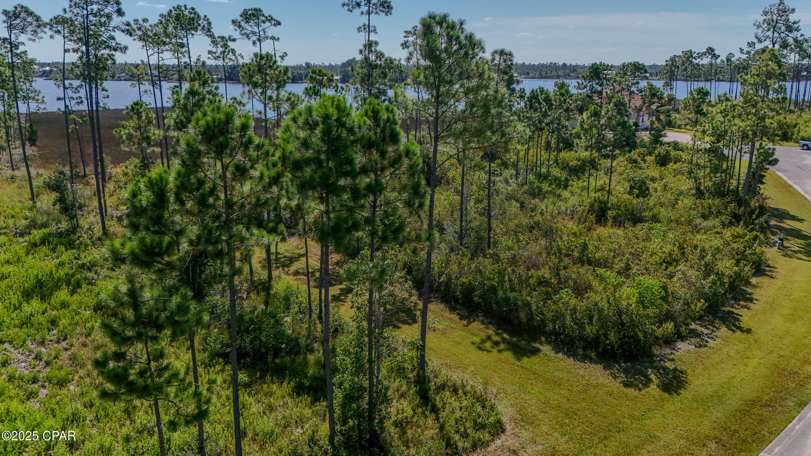 Laird Bayou - Land