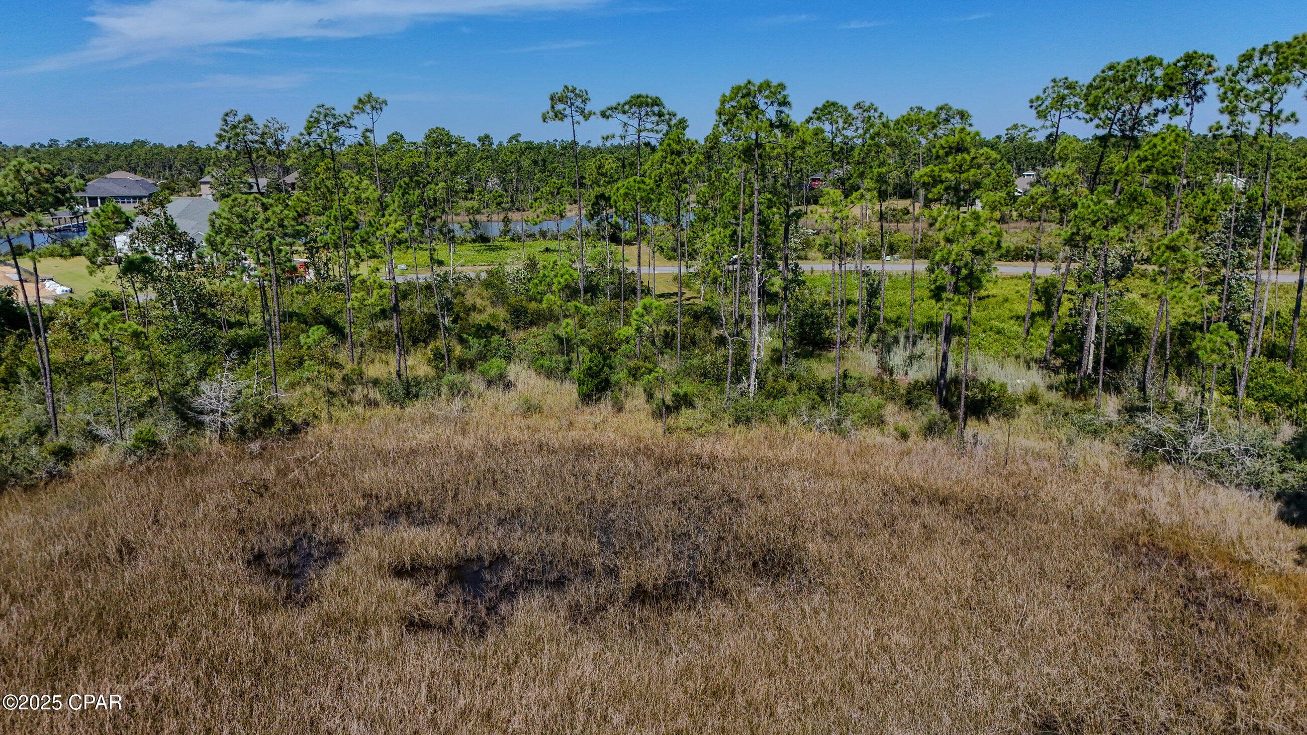 Laird Bayou - Land