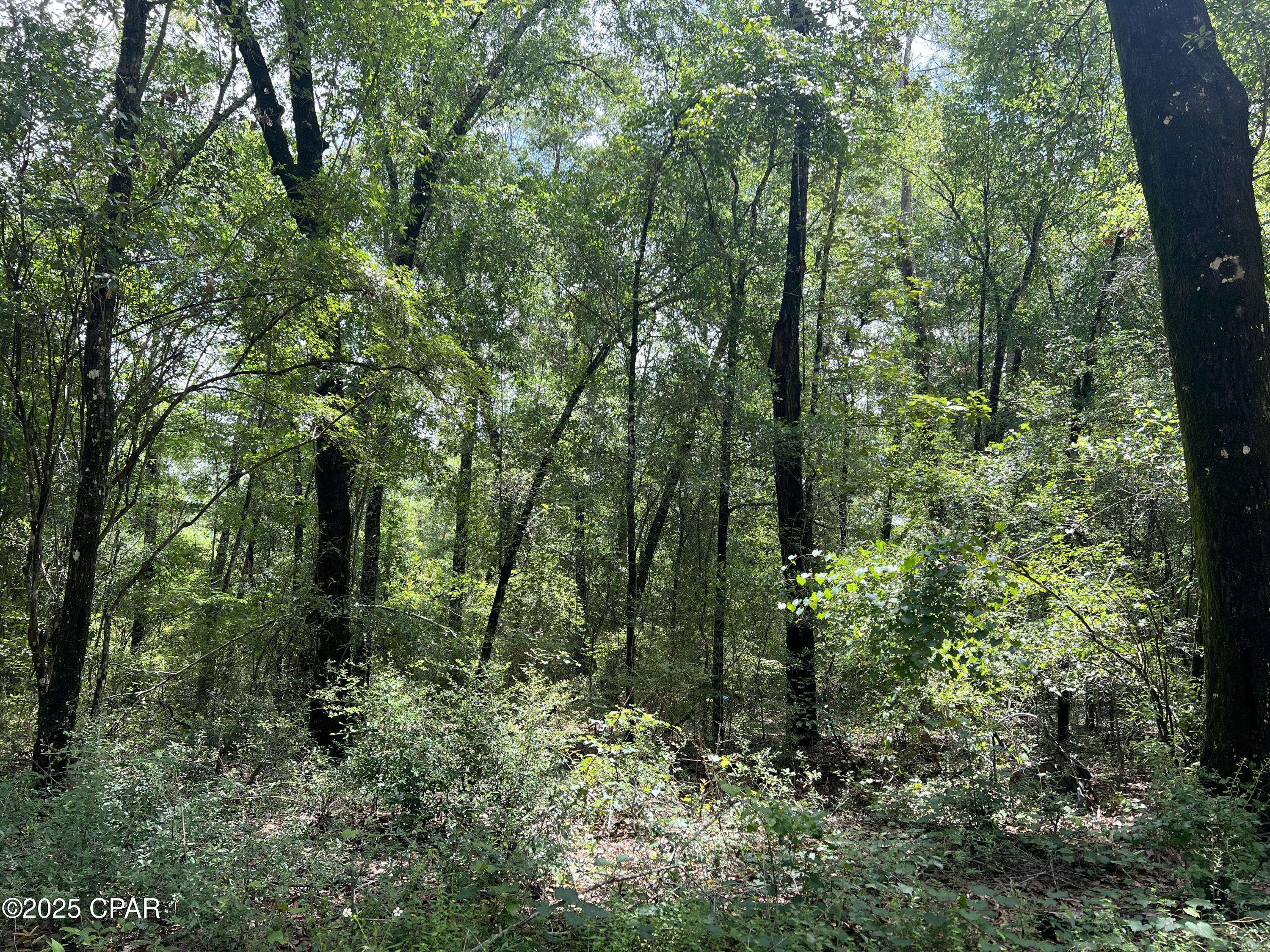 Beautiful wooded 0.5 acre lot located in Bonifay, FL in Dogwood Lakes Subdivision, home of Dogwood Lakes Golf Course which is an 18 hole course. Located there at the golf course is a restaurant and bar for your convenience. Also there is Dogwood Lakes complete with a boat landing to launch your boat and do a little fishing! This property is conveniently located about a 10 minute drive to the town of Bonifay where there are restaurants, banks, grocery stores, Dr. Offices and a Hospital. All this and still within 1 hour of Panama City Beach and Dothan, AL. The property is all high and dry and covered in hardwoods, a blank canvas for you to pick and choose your landscaping vision. This is Lot 23 and Lot 24, adjacent, is 0.77 acres and also available to purchase giving you a total of 1.27 private acres. No HOA! Buyer and/or buyer's agent to satisfy themselves to all pertinent information regarding the property.