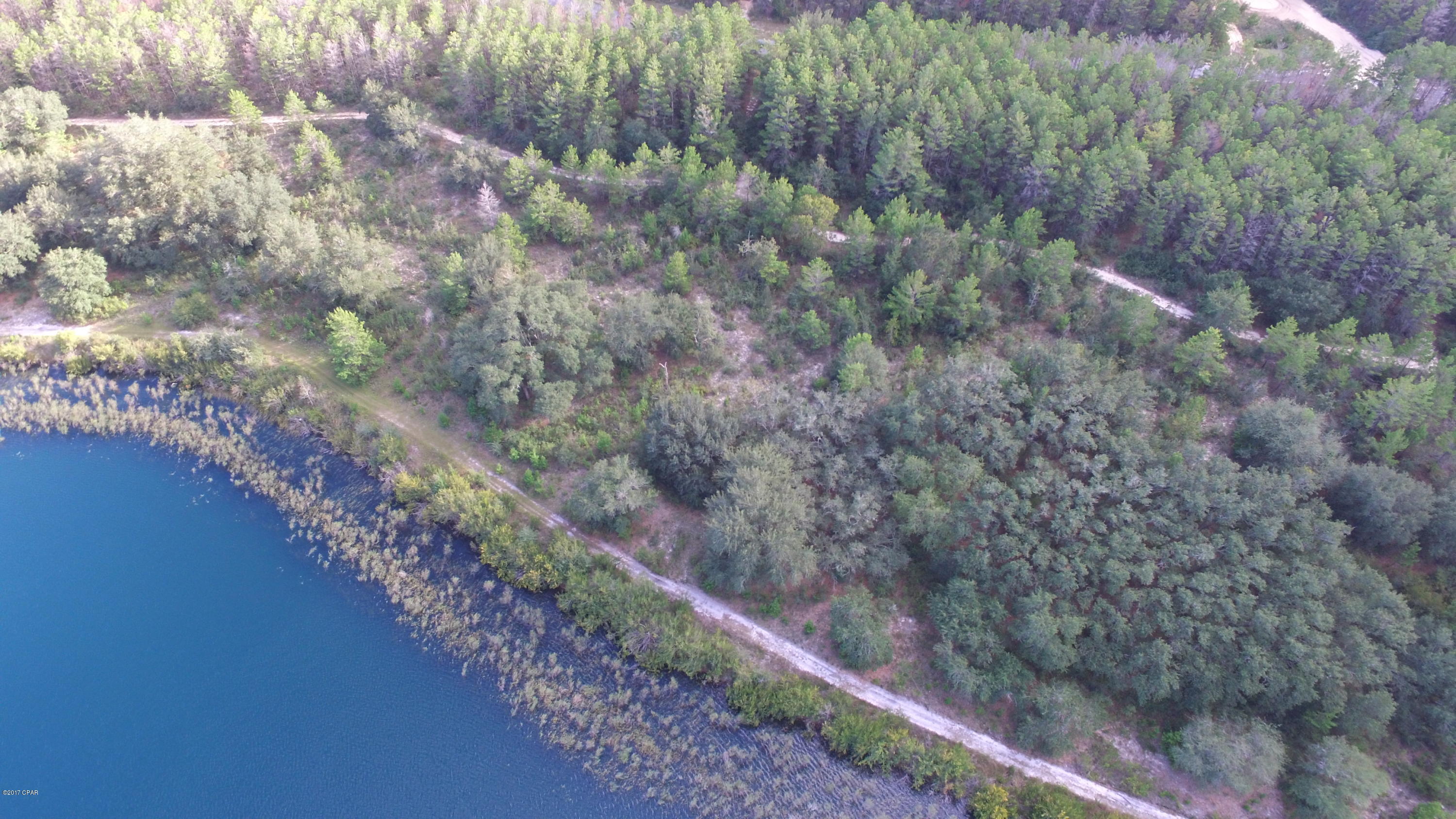 Bream Pond - Land