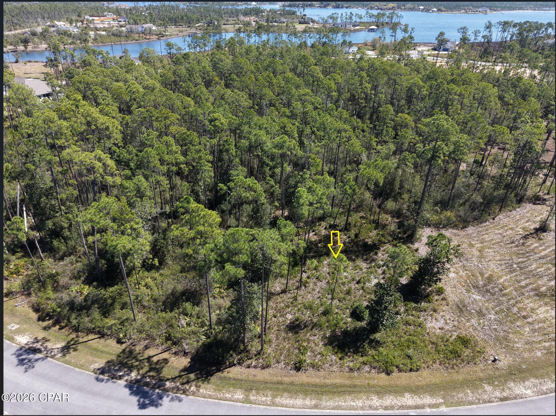Laird Point - Land