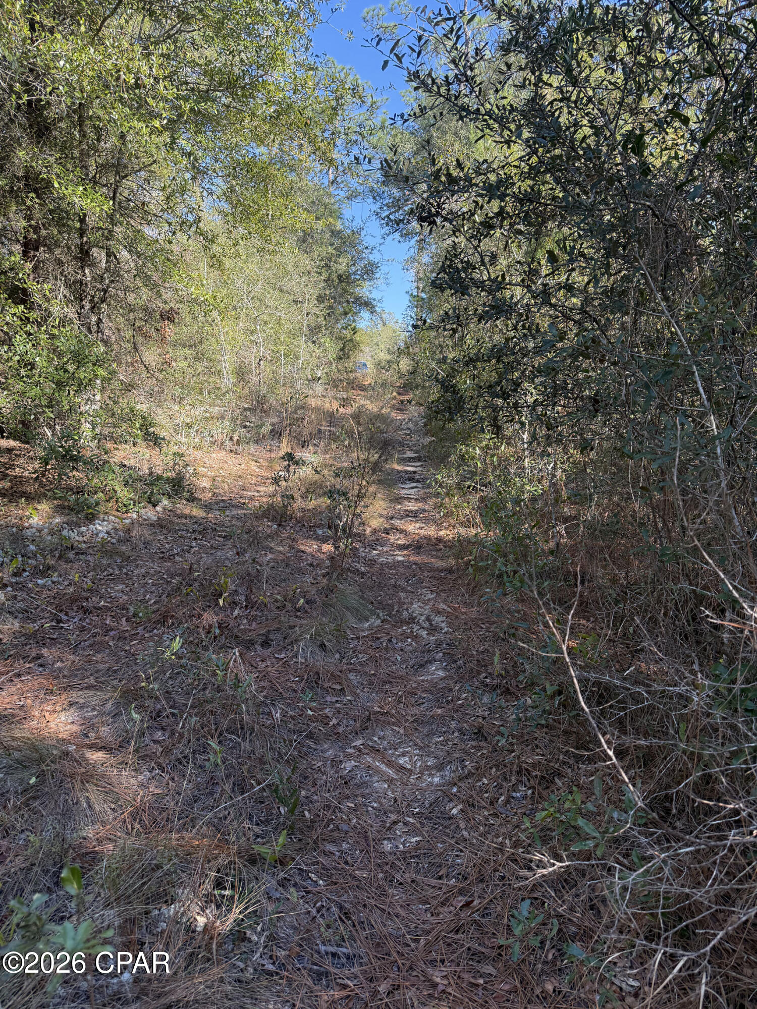 Grassy Pond Ranch - Land