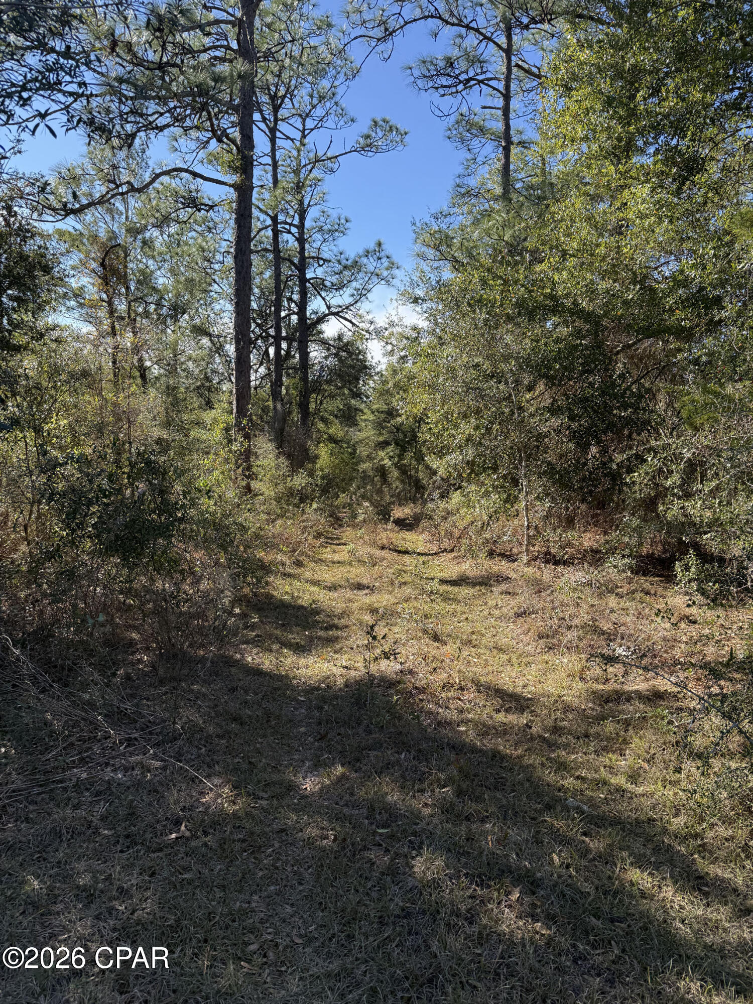 21 Grassy Pond Rd, Chipley, FL 32428

--General Property Info

• Property Type: 

Vacant land / building lot.  

• Lot Size: 3.53 acres.  

--Key Features of the Lot

• Cleared building area: The lot is cleared enough to walk from the road to the water.  

• Access to pond: The property extends toward (Grassy Pond) and you can walk to the water from the road, waterfront.

• Rural setting: The lot is in a serene rural environment typical of Grassy Pond Rd parcels. 

• Recreation: Properties nearby often have access to community features like private lakes, horseback riding, fishing, and outdoor recreation.

Pull your camper or move your tiny home onto this quiet country setting and enjoy the serene waterfront views on your very own white sandy beach.

If you desire a quiet, secluded setting this spot is for you.
