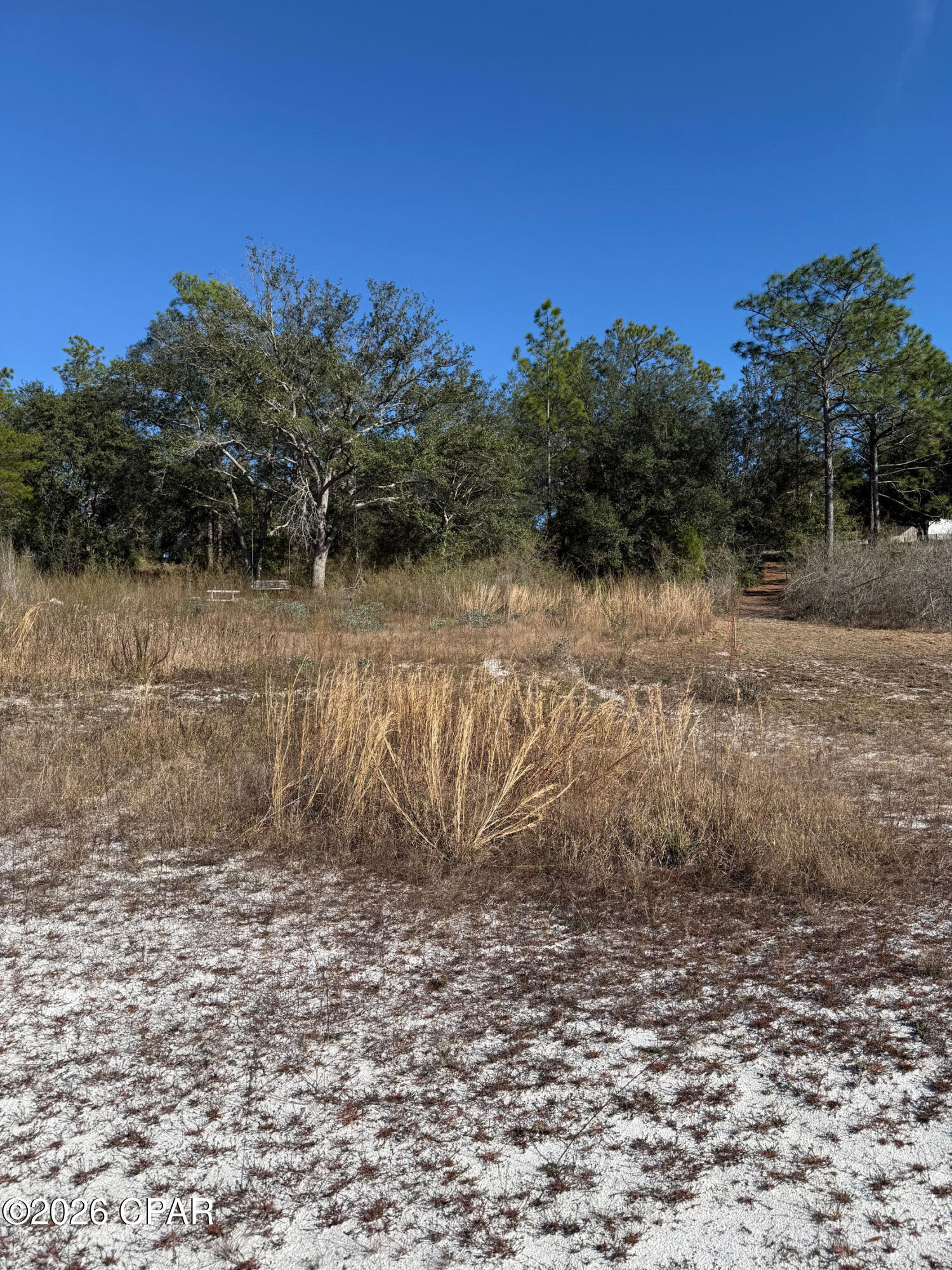 Grassy Pond Ranch - Land